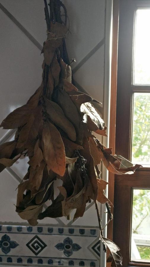 Casa Idilica Daire Horta  Dış mekan fotoğraf